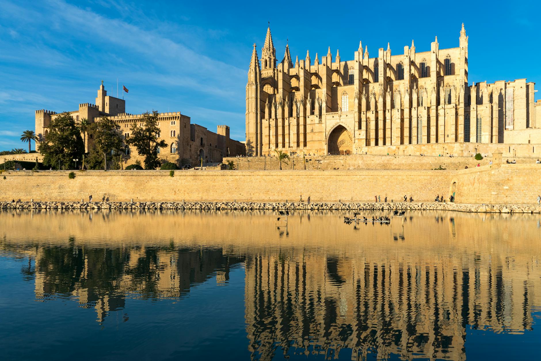 catedral de palma de mallorca