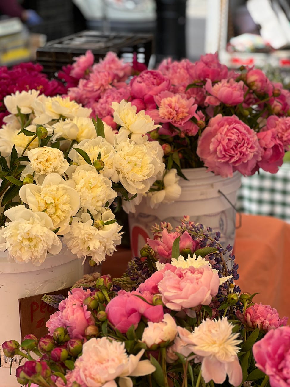 close up of variety of flowers in the buckets